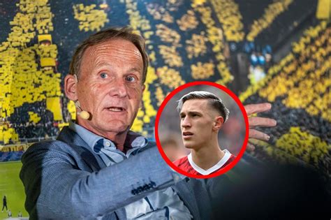 bvb news was sagt watzke